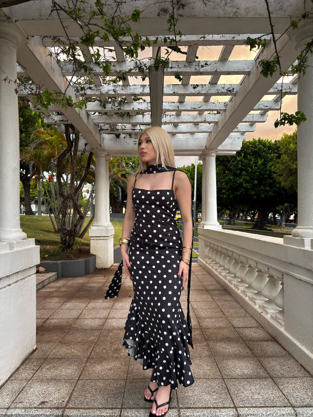 Polka Dots dress